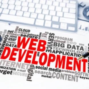 Web development